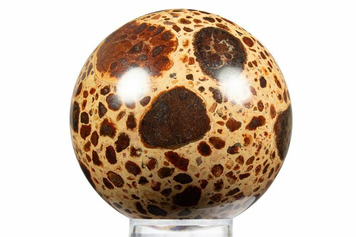 Polished Bauxite (Aluminum Ore) Sphere - Russia #316275